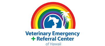 2022 Bronze Sponsors - Hawaii LGBT Legacy Foundation
